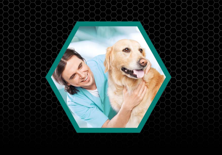 AniCell pet-owners-mobile