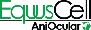 EquusCell AniOcular for eye wounds and descemetocele in Horses