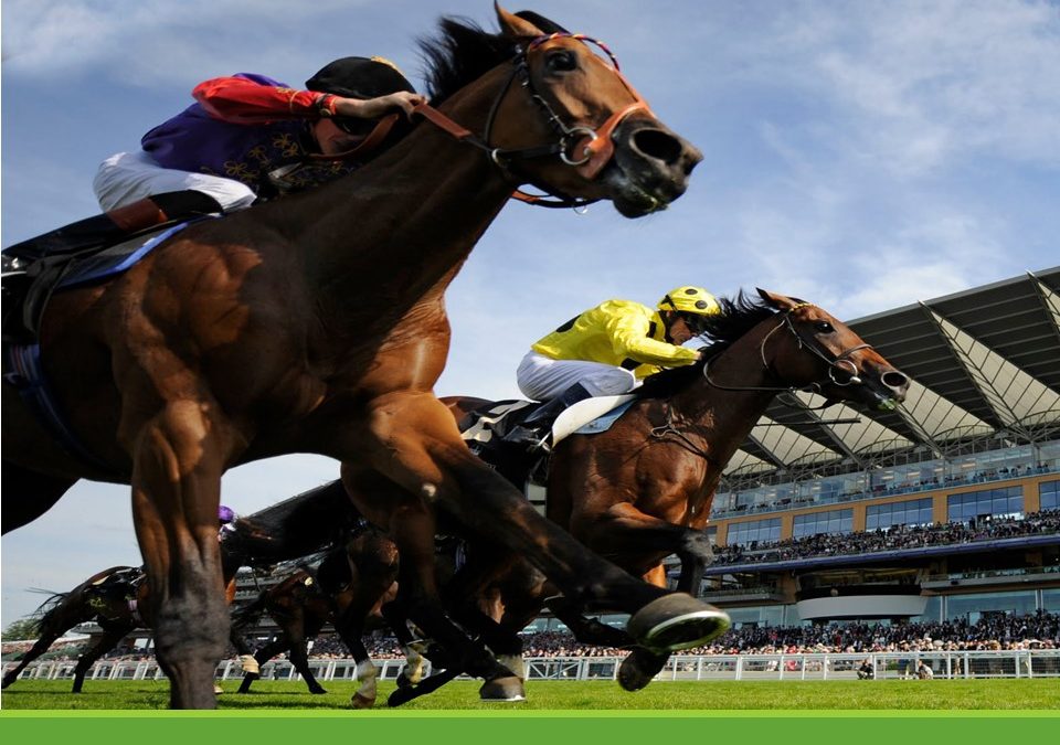 Amnion vs Bisphosphonates