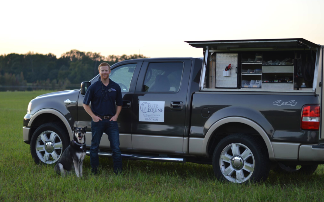 An Interview with an Equine Vet, Dr. Zach Bruggen DVM