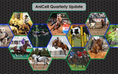 AniCell Fall 2023 Update