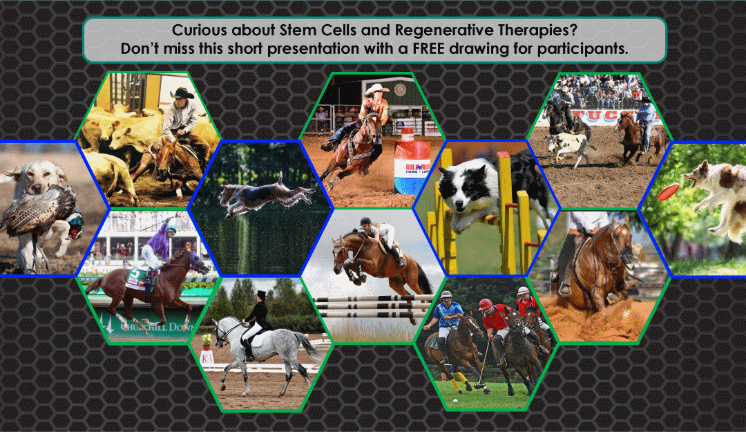 Educational Seminar for Owners of ACTIVE Animals