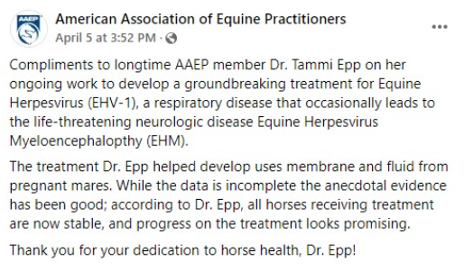 Dr. Epp and AAEP - EHV-1