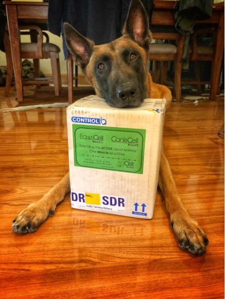 Sinead Imbaro and Magnus