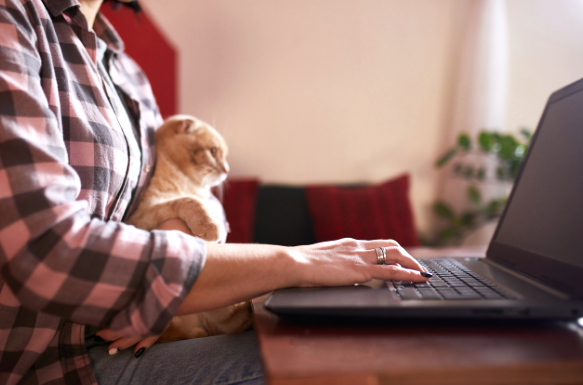 catcomputer Register AniCell