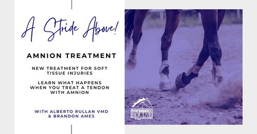 Rullan Equine Performance