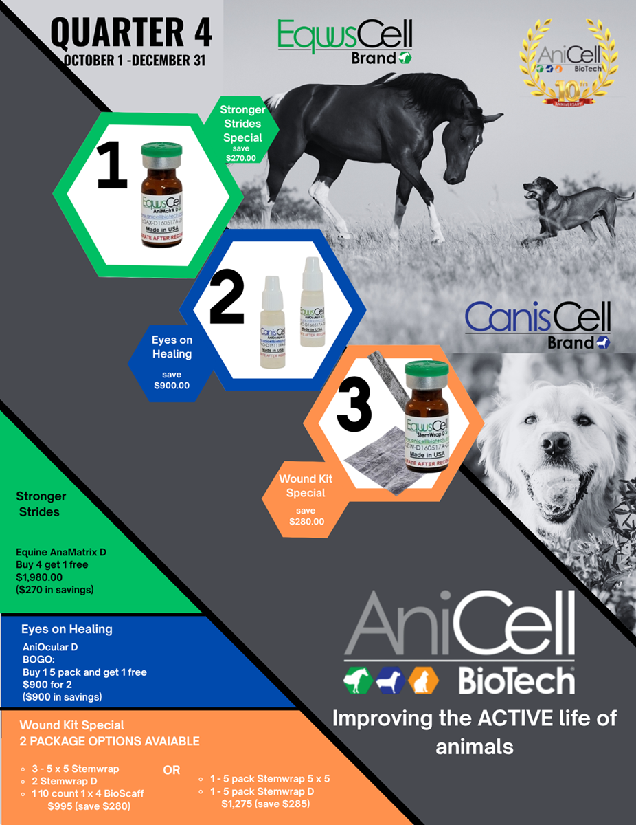 4th Quarter AniCell Anniversary Specials