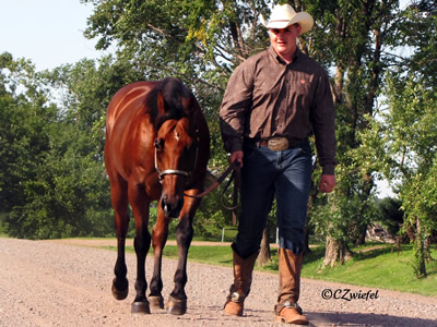 AniCell Trainer Spotlight - Bob Janssen