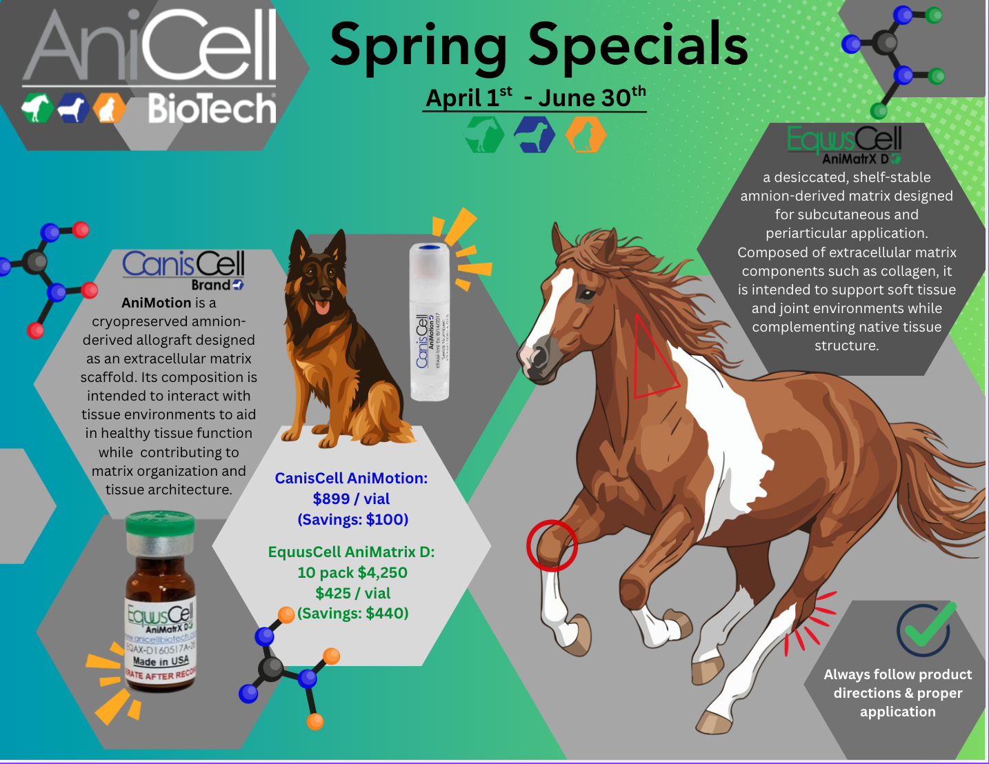 4th Quarter AniCell Anniversary Specials
